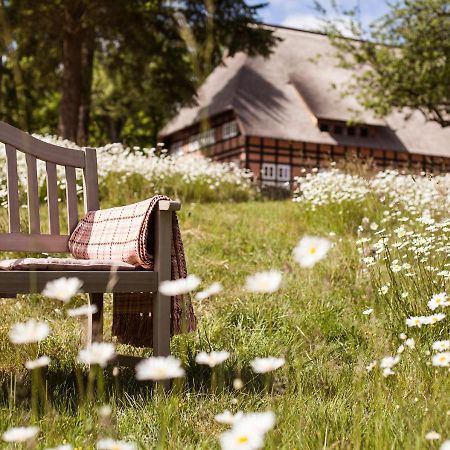Penzlin Park Am See X Nattika Ayurveda, Hotel Health Spirit מראה חיצוני תמונה