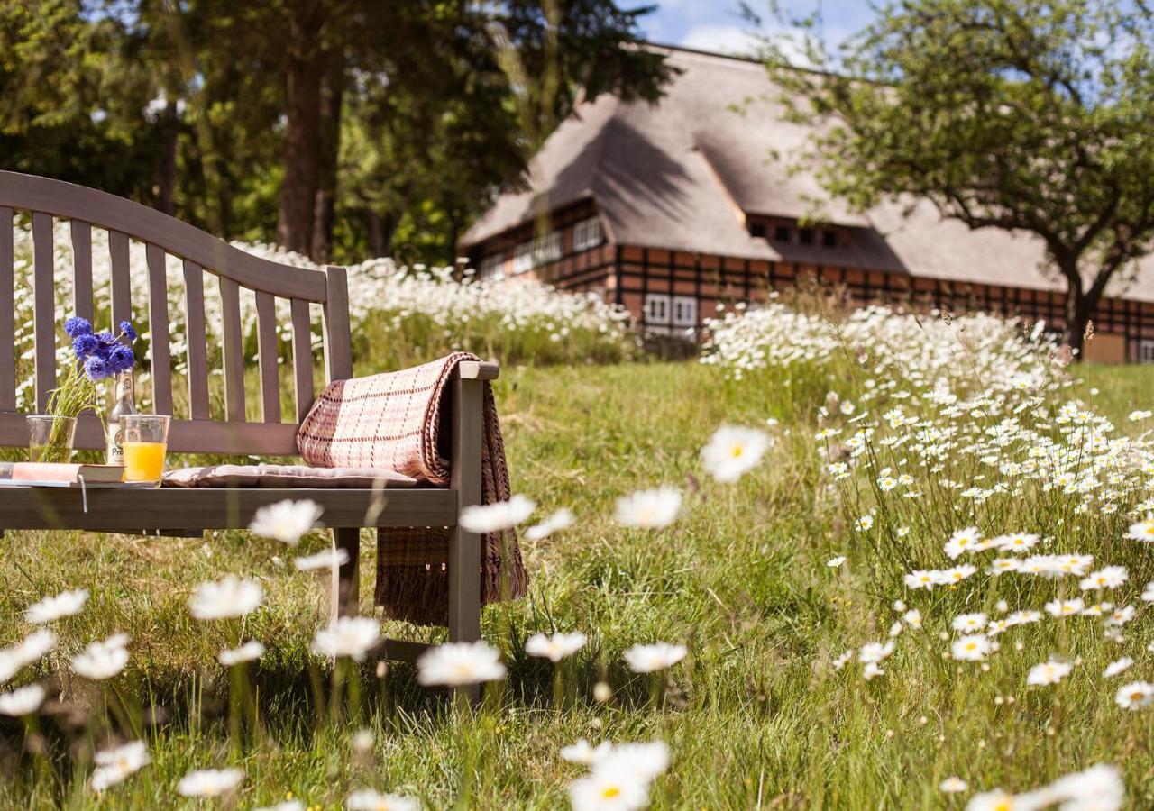 Penzlin Park Am See X Nattika Ayurveda, Hotel Health Spirit מראה חיצוני תמונה